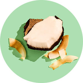 Coconut piece with toasted coconut flakes on a green background.