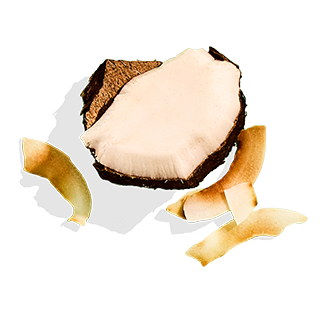 coconut