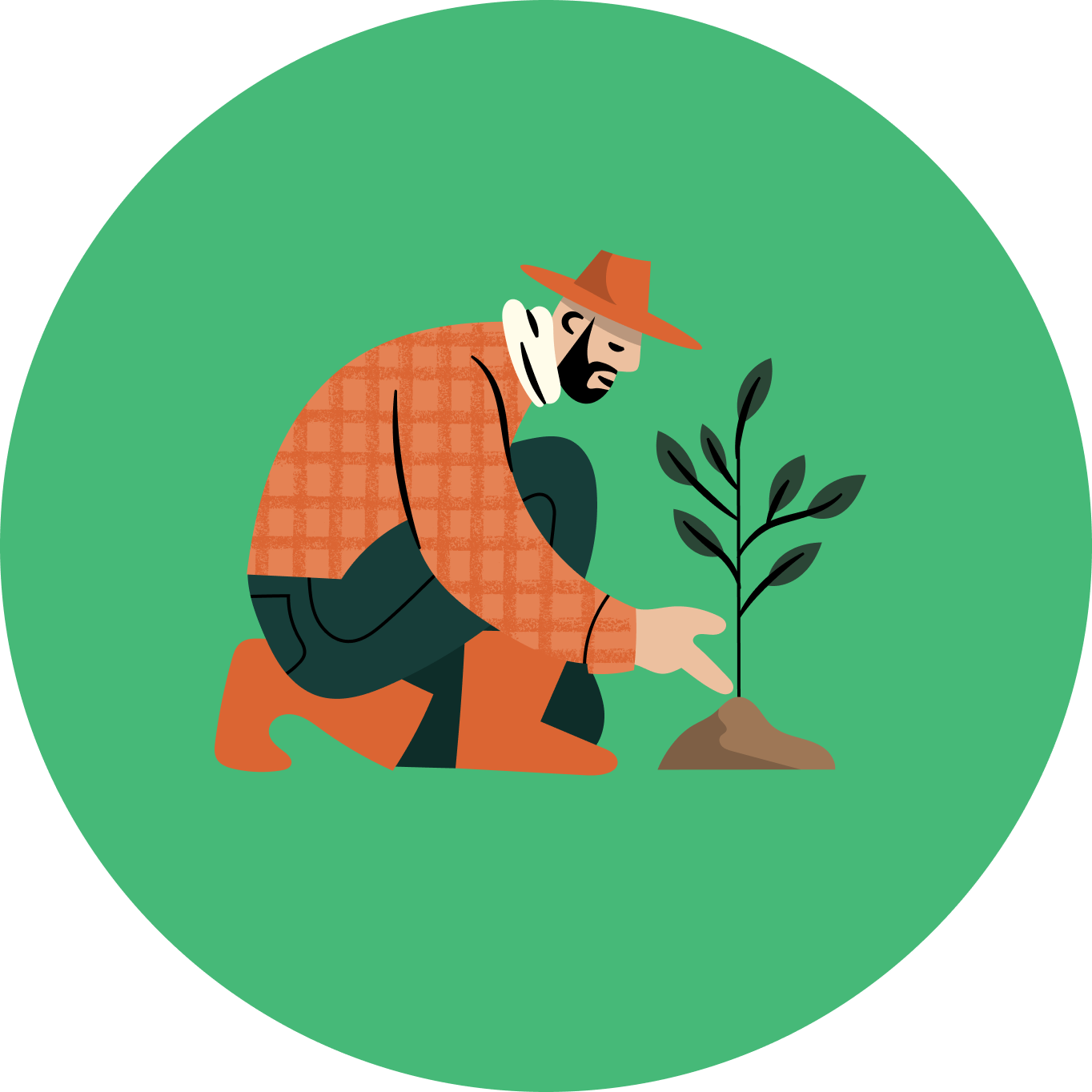 A person planting a small tree in the ground.