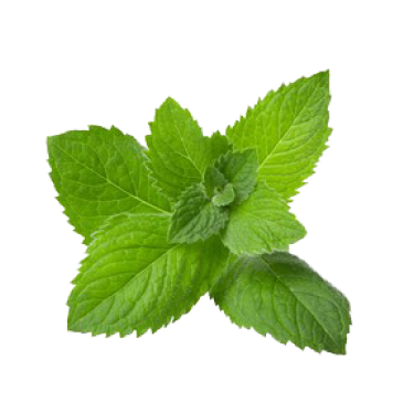 peppermint oil